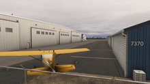CFSS  - Library (MSFS2024) scenery screenshot 2