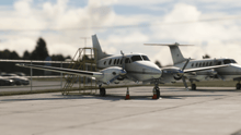 Kingston Norman Rogers Airport (MSFS) scenery screenshot 3